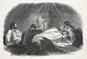 El oso en el campamento, ilustración de 